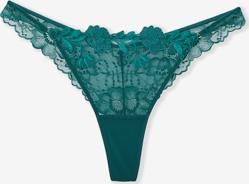 String di ETAM in verde: frontale