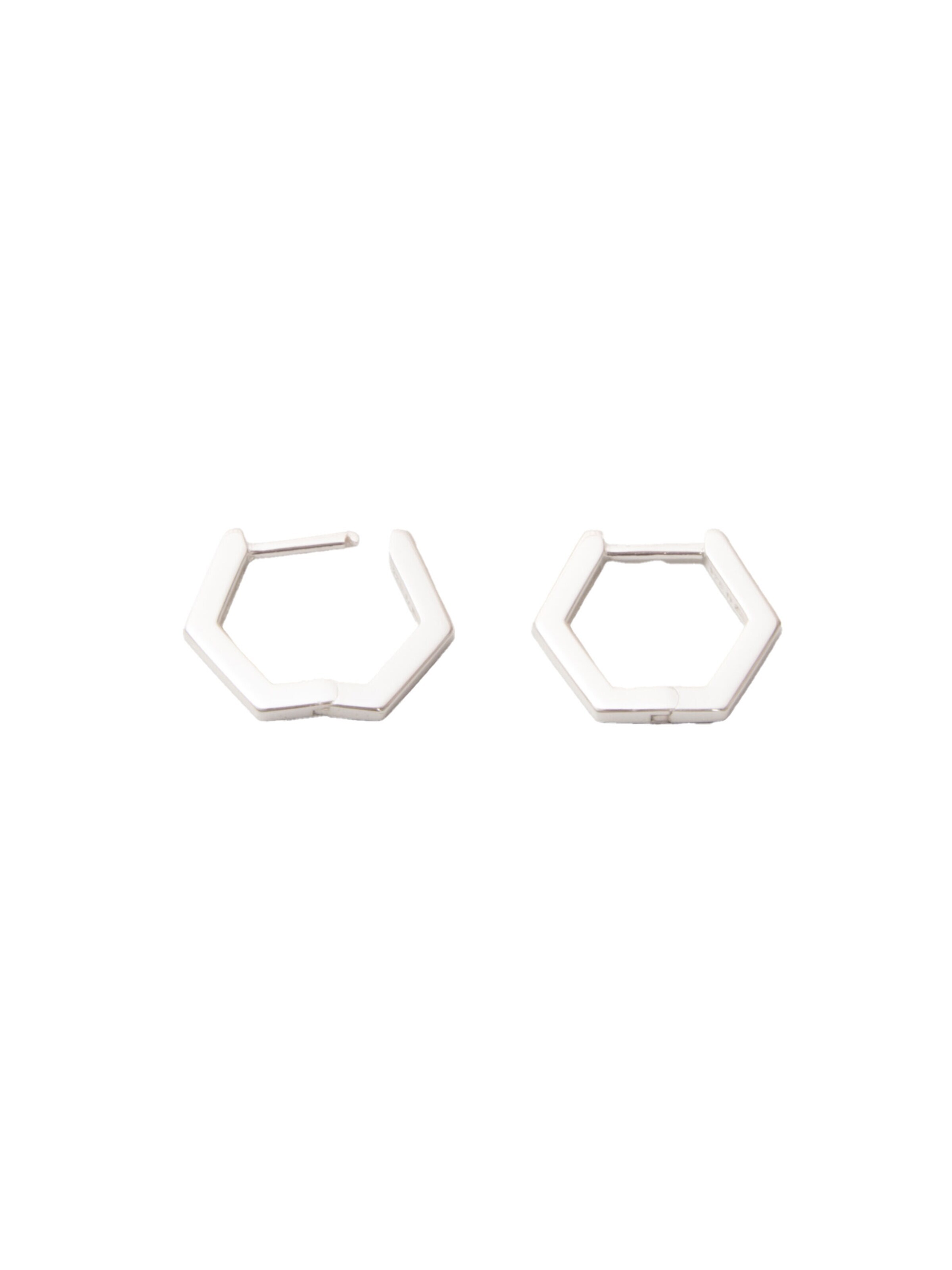 fejn Earrings in Silver: front