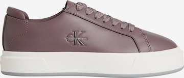 Calvin Klein Sneakers in Brown: front