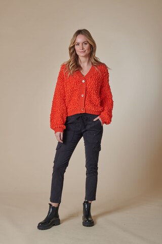 Zhrill Strickjacke in Orange
