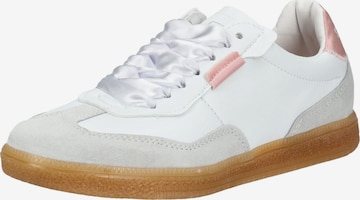 Baskets basses STEVE MADDEN en blanc : devant