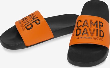 CAMP DAVID Mules in Orange: front