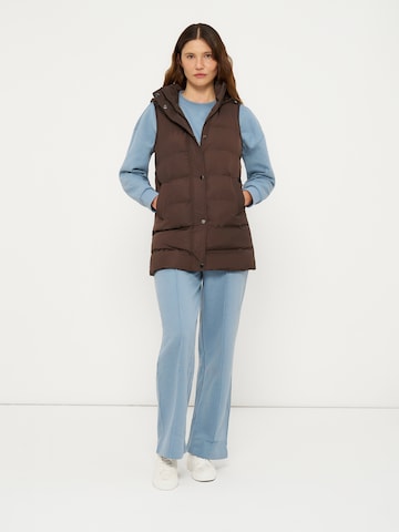 brūns Anna Field Veste