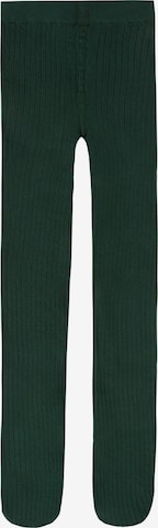 CALZEDONIA Tights in Green: front