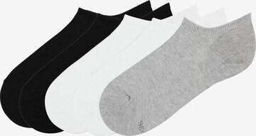 Tezenis Socks in Grey: front