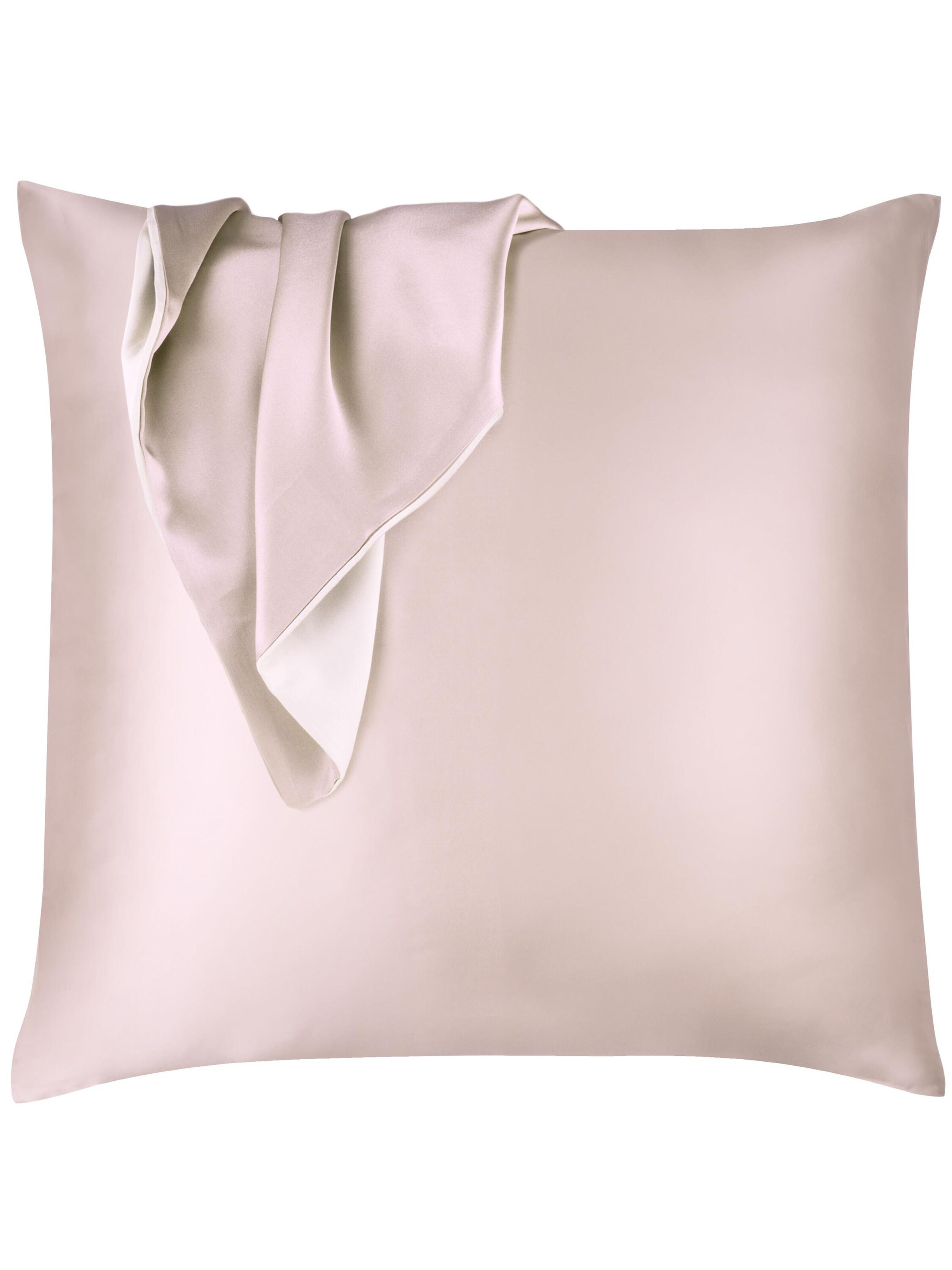 Aspero Pillow in Pink