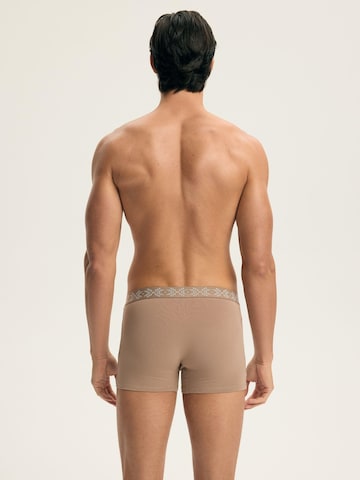 ESOTIQ Boxershorts 'Boxershorts Doppelpack aus Baumwolle Mix Atmungsaktiv bequem Aura' in Beige