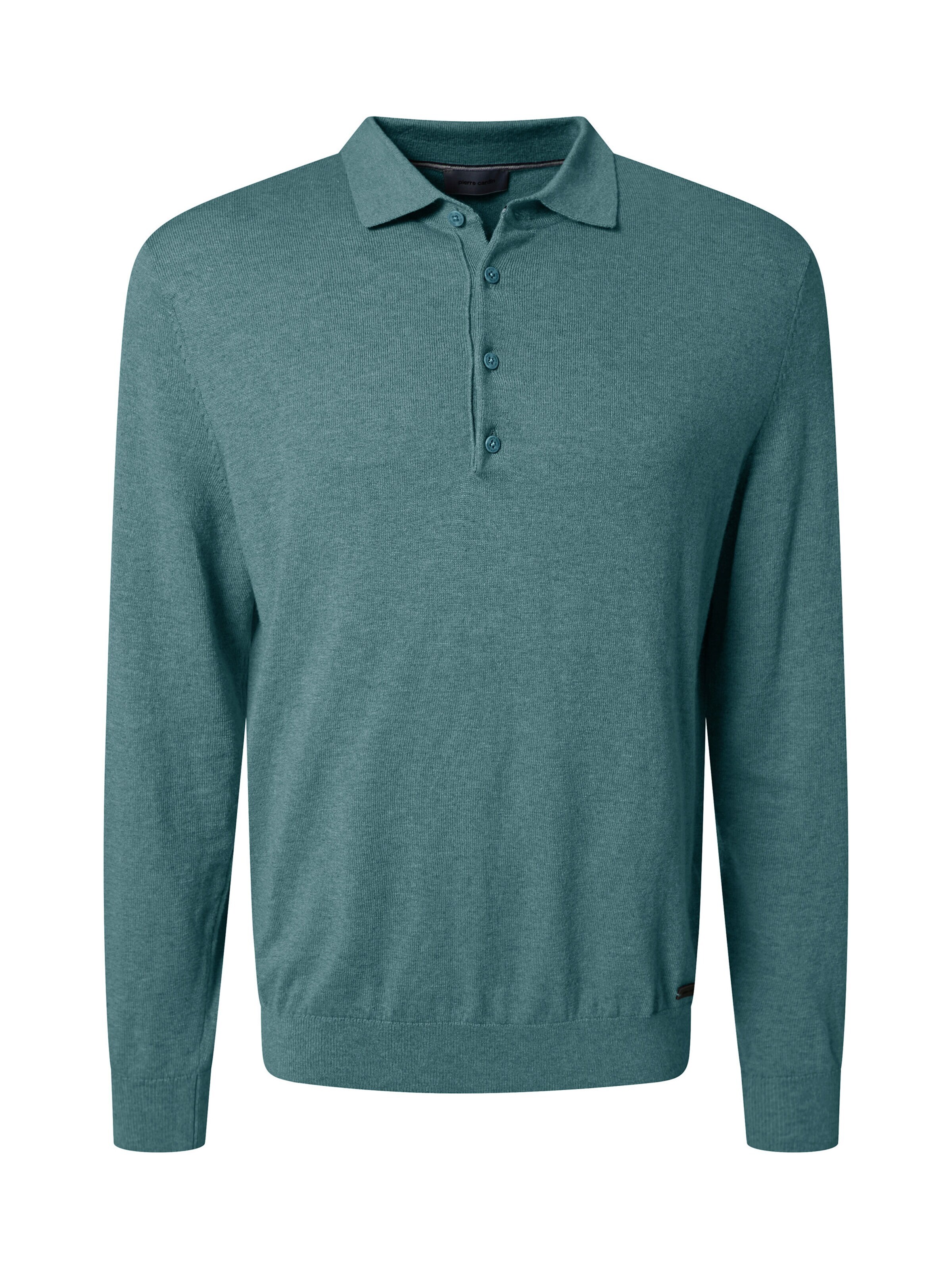 PIERRE CARDIN Sweater in Blue: front