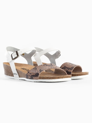 Bayton Remsandal 'Wodonga' i beige