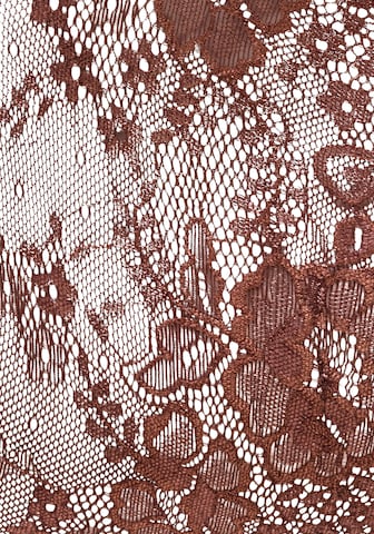 LASCANA Regular Boyshorts in Brown