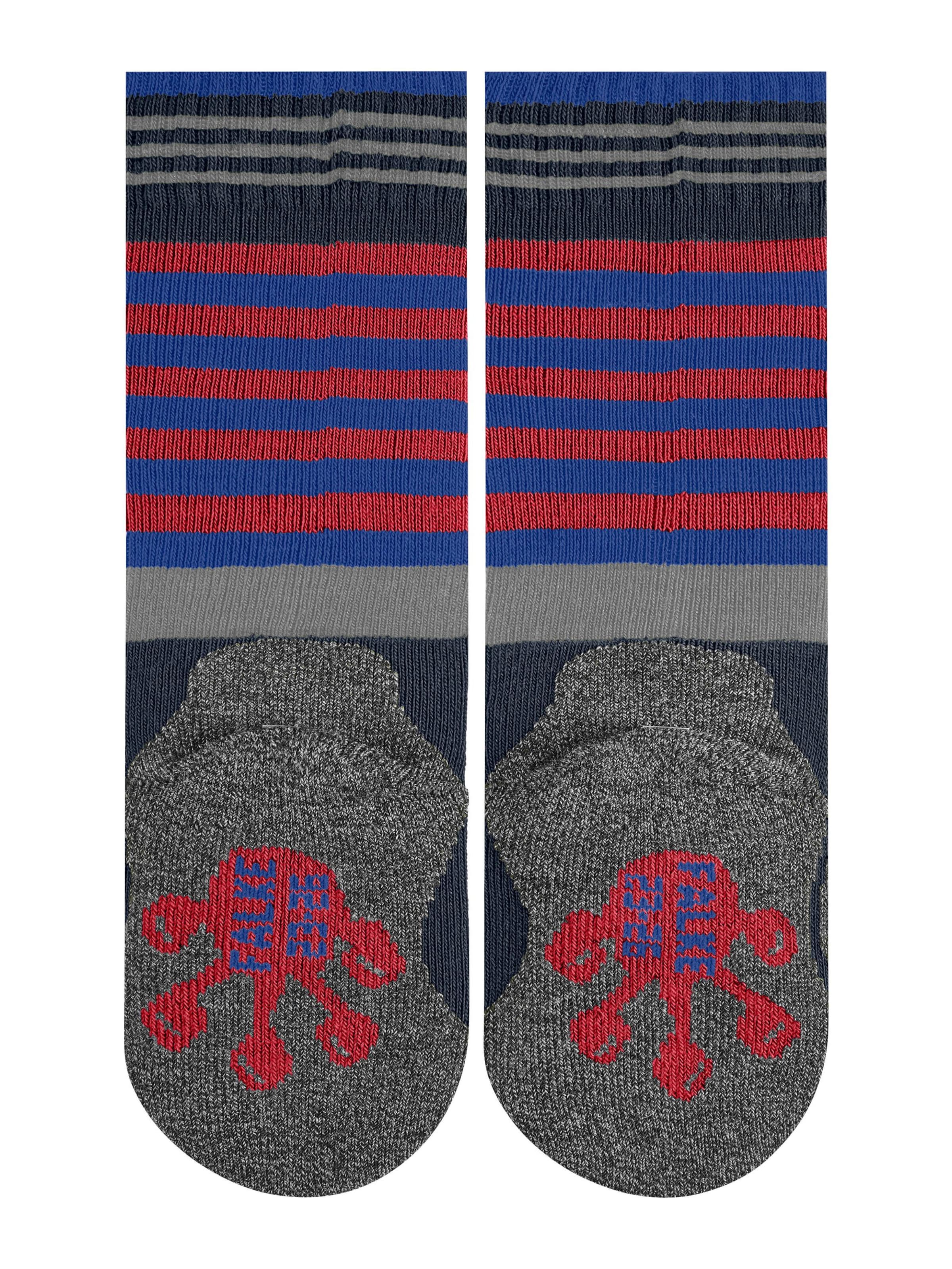FALKE Socks 'Active Frog' in Blue