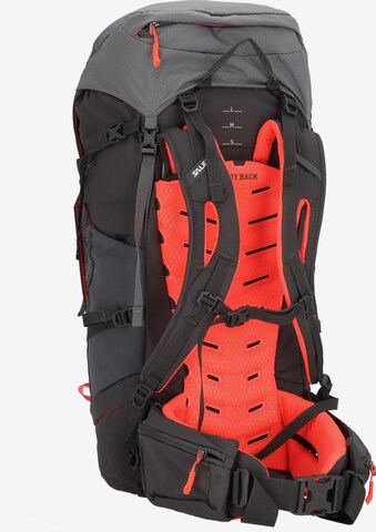 SALEWA Sports Backpack 'Alptrek' in Grey