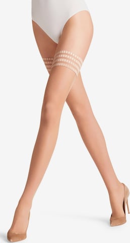 FALKE Fine Stockings 'Pure Matt' in Pink: front