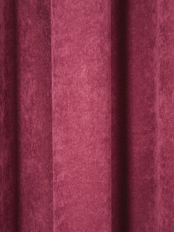 TOM TAILOR Curtains & Drapes in Red