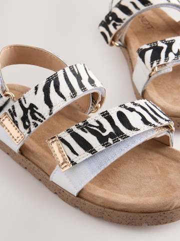 Next Sandal i svart