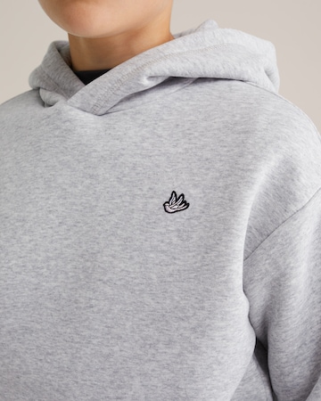 WE Fashion Sweatshirt i grå