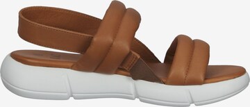 ILC Sandals in Brown