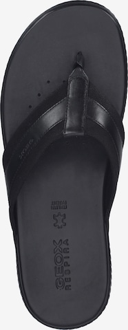 GEOX T-Bar Sandals in Black