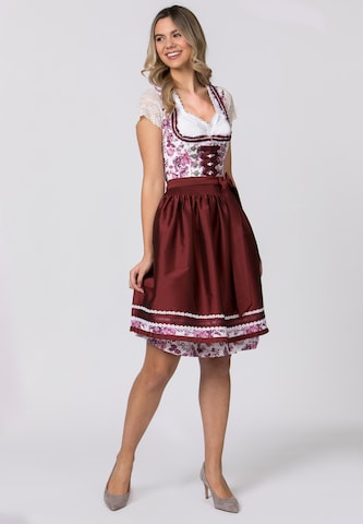 STOCKERPOINT Dirndl 'Nikola' in Roze: voorkant