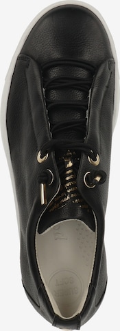 Paul Green Låg sneaker 'Mastercalf' i svart