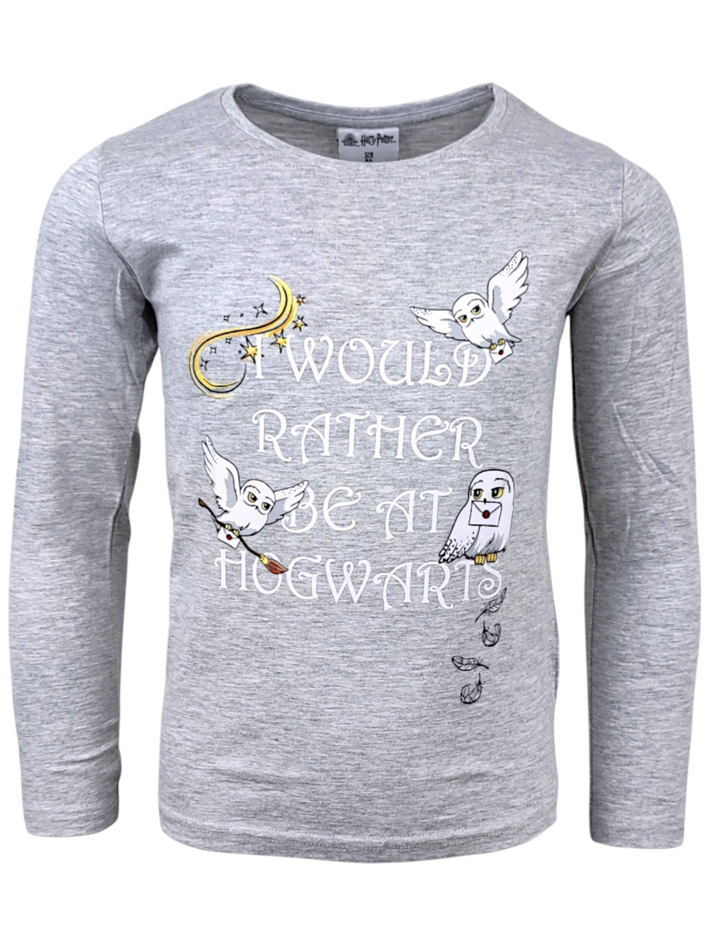 Harry Potter Shirt 'Harry Potter Langarmshirt' in Grey: front