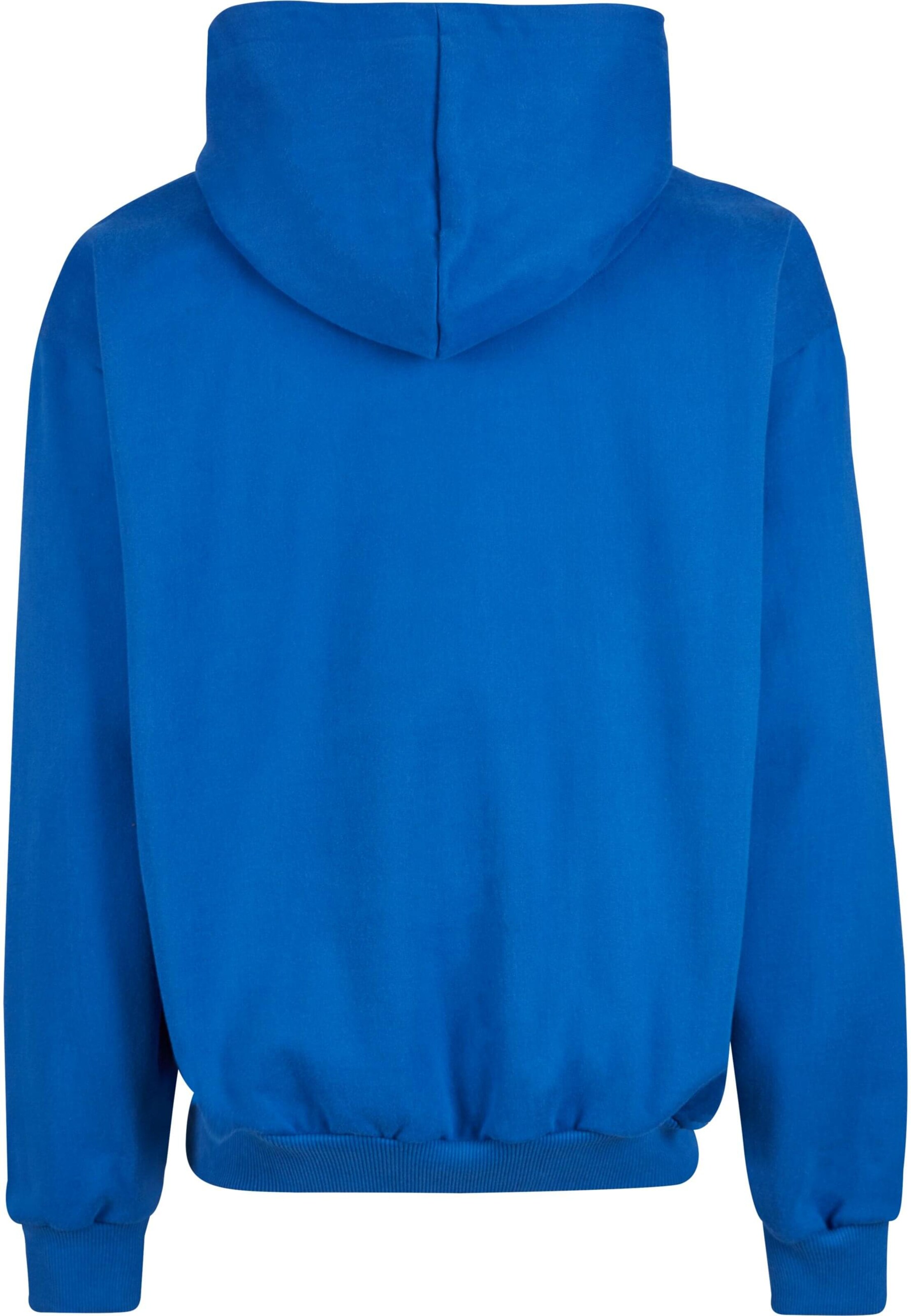 Karl Kani Sweatshirt 'Autograph' in Blue