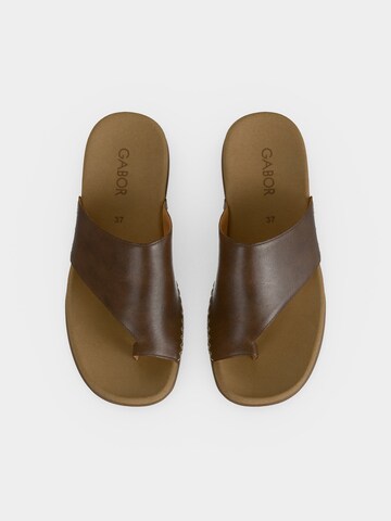 GABOR T-Bar Sandals in Brown
