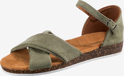 ambellis Sandale in khaki, Produktansicht