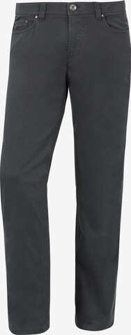 Jan Vanderstorm Regular Pants 'Falenti' in Grey: front