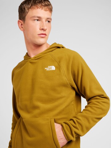 THE NORTH FACE Sports sweater '100 GLACIER' in Green