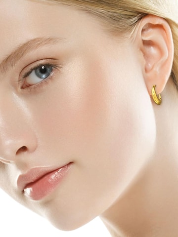 Maxte Ohrringe‌‌‌‌ in Gold