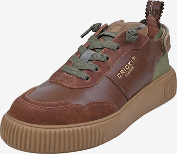 Crickit Sneakers laag ' PARIA ' in Bruin: voorkant