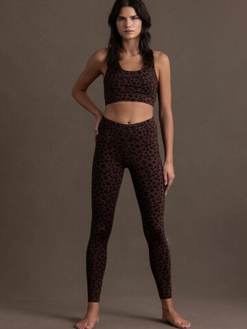 Hey Honey Leggings 'Leo' in Braun: Vorderseite