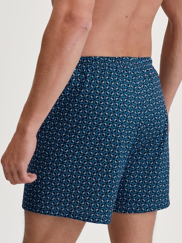 CALIDA Boxer shorts in Blue