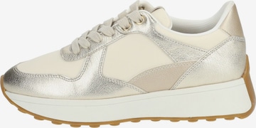 Sneaker bassa di GEOX in beige