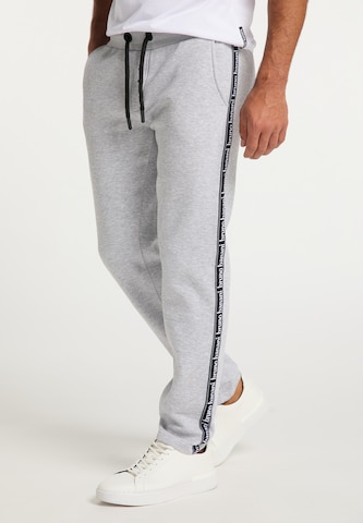 BRUNO BANANI Regular Pants 'Wood' in Grey: front