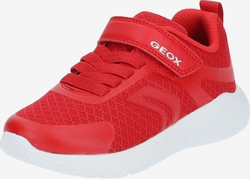 Sneaker di GEOX in rosso: frontale