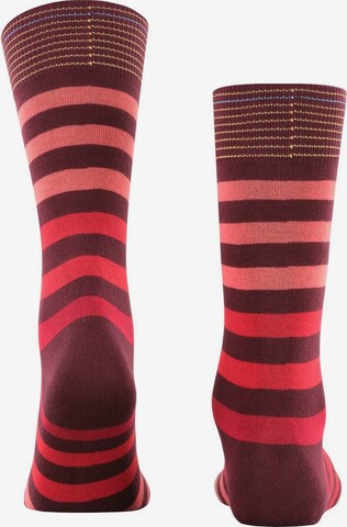 BURLINGTON Socken in Rot