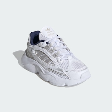 Baskets ADIDAS ORIGINALS en blanc