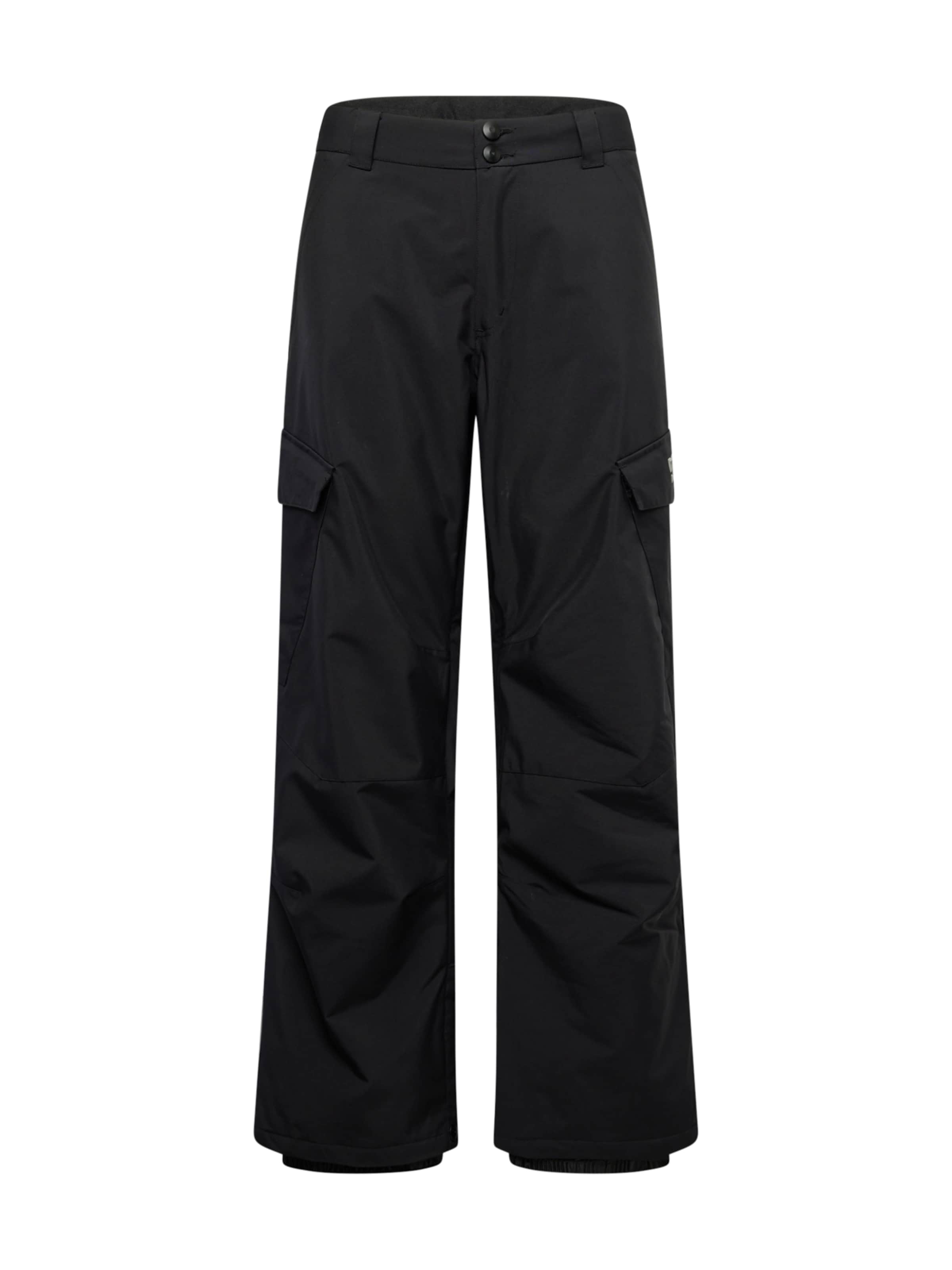 DC Shoes regular Sportsbukser 'BANSHEE' i sort: forside