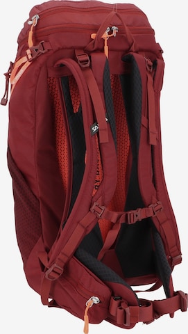 SALEWA Sports Backpack 'Alp Trainer 20L ' in Red