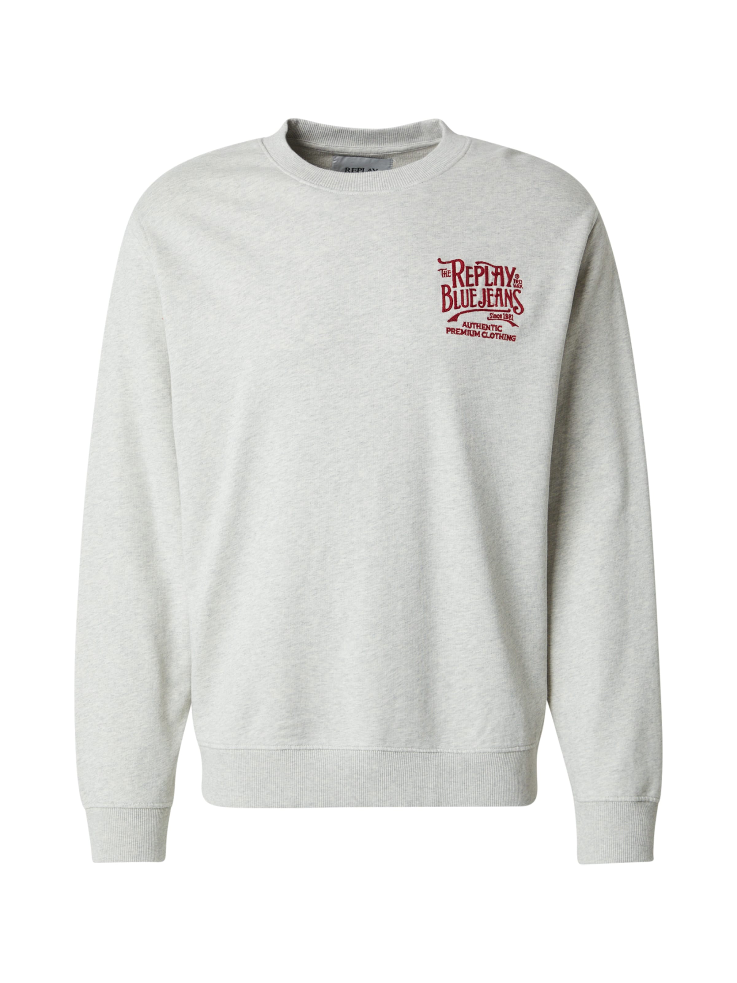 REPLAY Sweatshirt i grå: forside