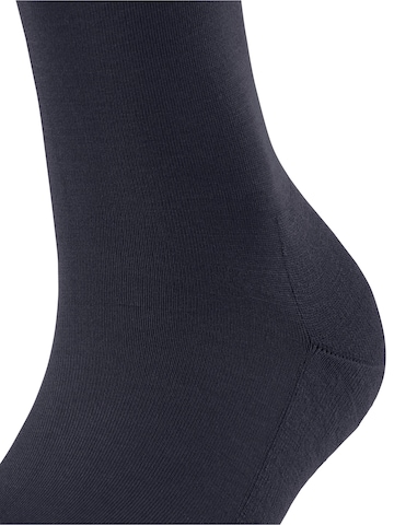 FALKE Knee High Socks 'ClimaWool' in Blue