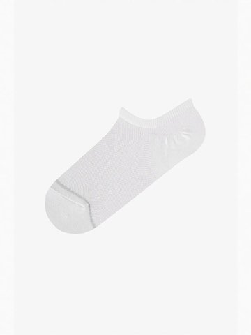 Penti Sukapöiad 'PENTI Basic Mesh Baumwoll-Lurex Sneaker-Socken Paar', värv valge