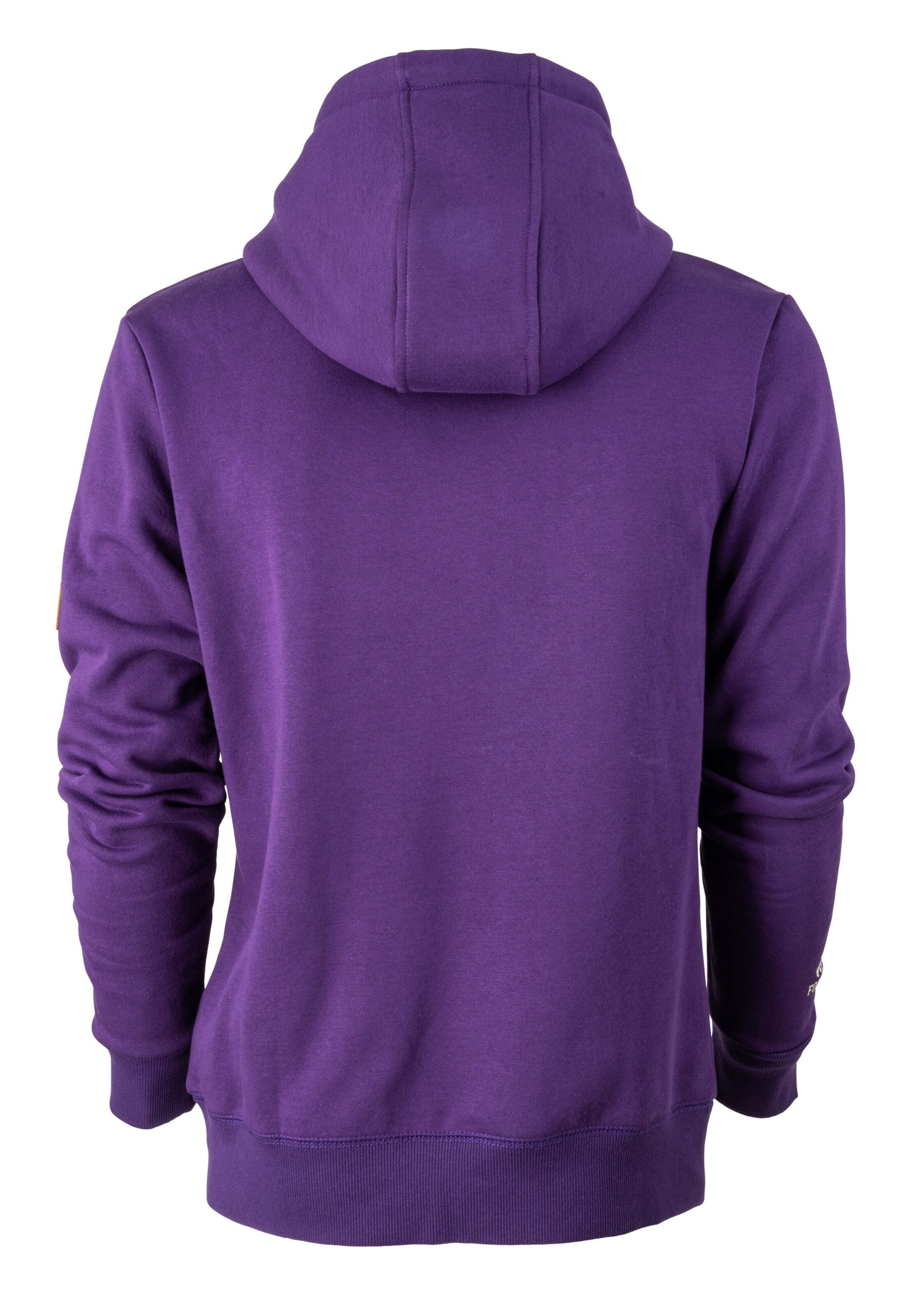 FORSBERG Sweatshirt in Purple