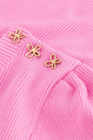 Fabienne Chapot Sweater 'Lillian' in Pink