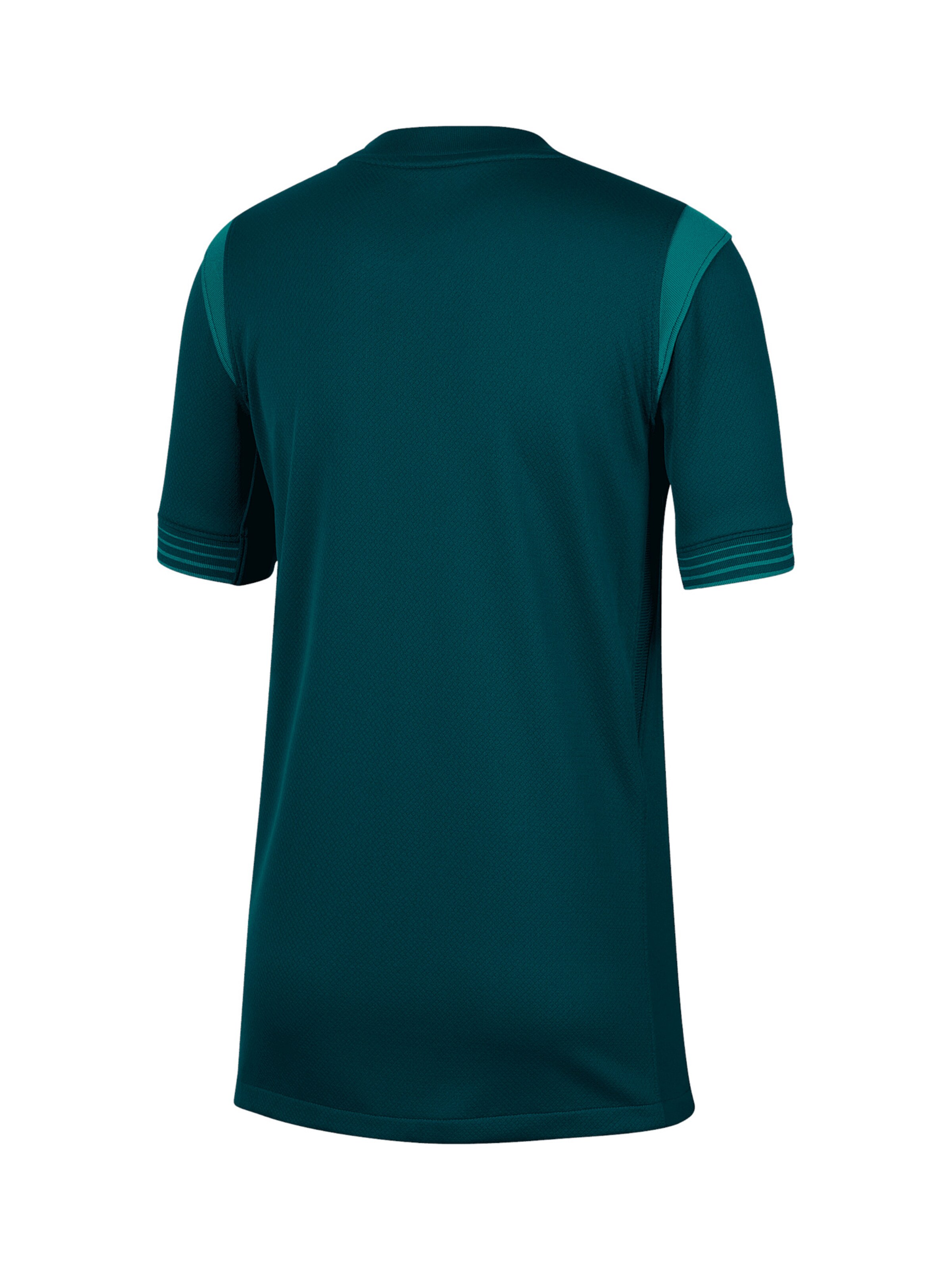 NIKE Trikot 'Nigeria 2025/2026' in Grün