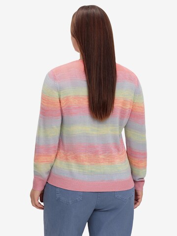 SHEEGO Sweater in Mixed colors