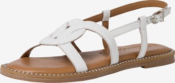 TAMARIS Sandalen met riem in Wit: voorkant