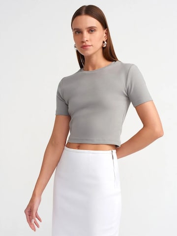T-shirt Dilvin en gris : devant